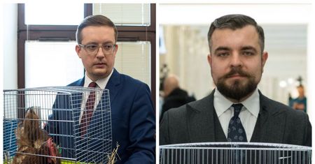 Szok w Sejmie. Sesja z kurą