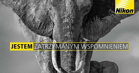 Nikon ogłasza promocję cashback na wybrane aparaty i obiektywy