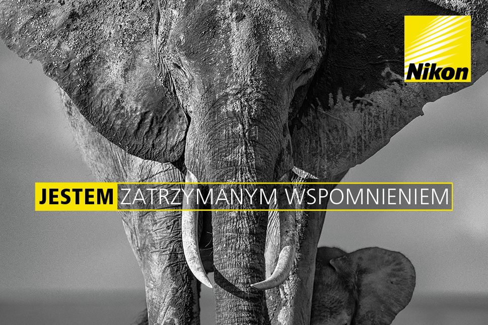 Nikon ogłasza promocję cashback na wybrane aparaty i obiektywy 1