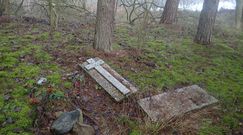 Nietypowa ekshumacja leśnej mogiły w pobliżu Drawska