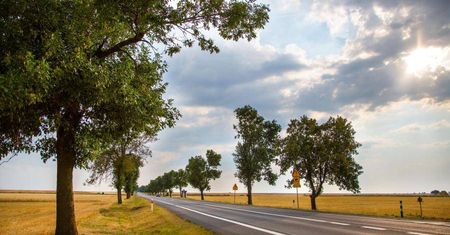 Miliony na drogi gminne i powiatowe. Sprawdź na które