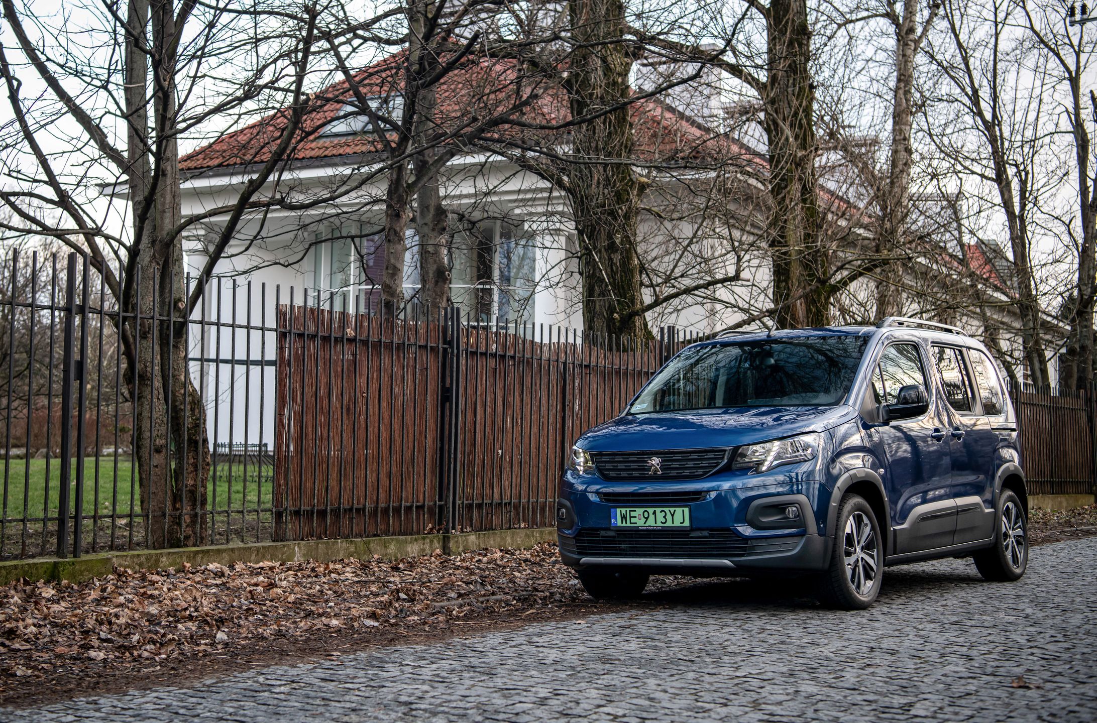 Peugeot e-Rifter (2022)
