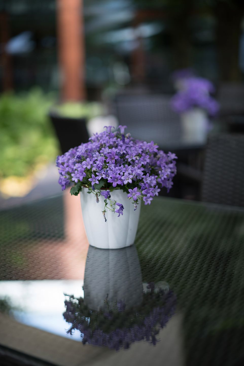 Sony A7S - zdjęcia testowe do ISO 409 600 5
