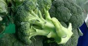 Jakie są ceny kalafiorów i brokułów pod koniec września 2025 r.?