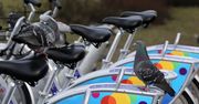Nextbike z kłopotami finansowymi. Rowery miejskie znikną z Warszawy?
