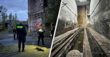 Zwłoki psa obok pentagramu. Inspektorzy byli porażeni