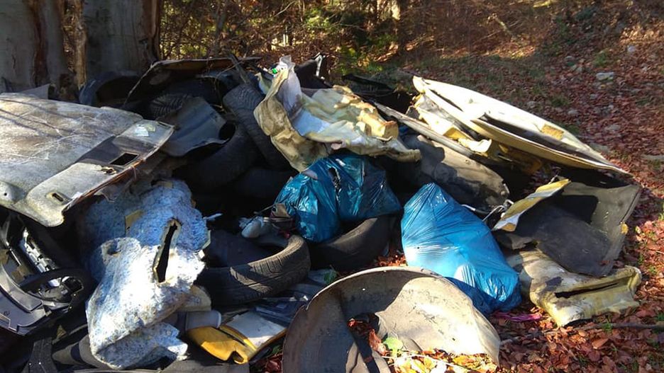 Nowa Ruda. Zamienili las w stertę śmieci. Wójt prosi o pomoc