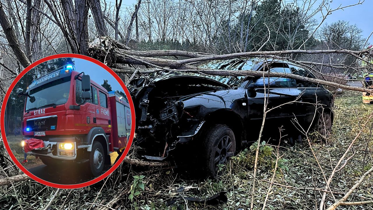 Groźny wypadek w Nadolniku! Auto wylądowało na drzewie po szalonym wyprzedzaniu