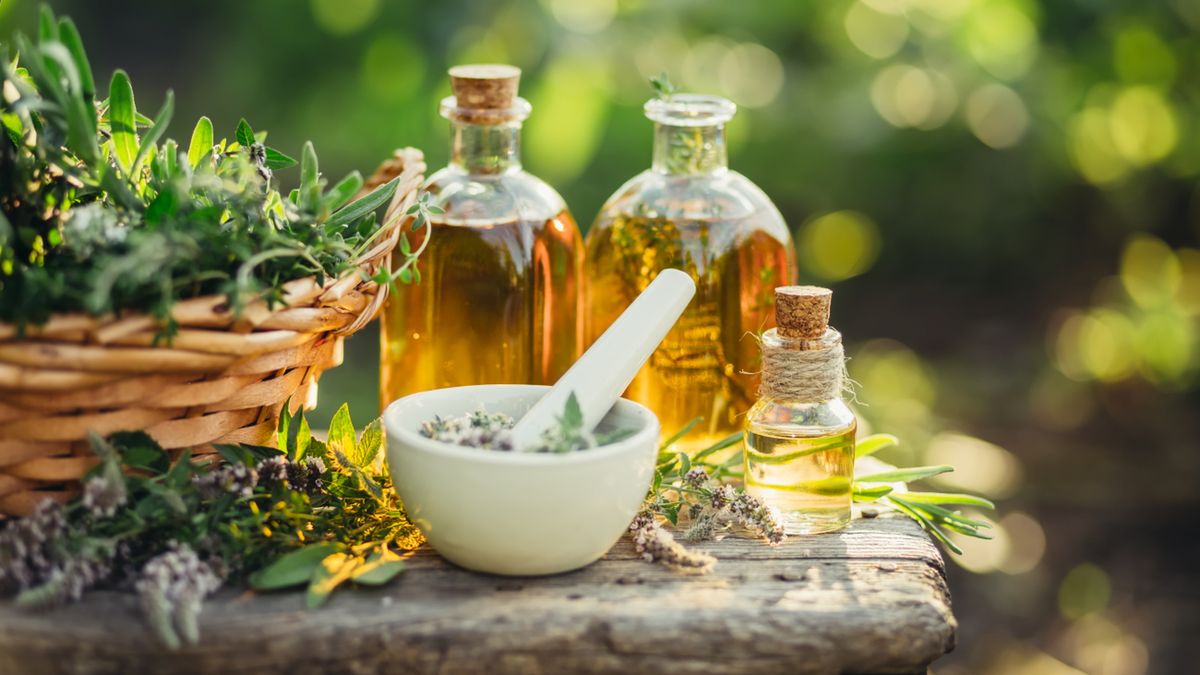 Zioła wpływające na pamięć i koncentrację poprawiają wydolność psychiczną