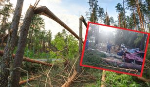 Rosja. Koszmar na kempingu podczas burzy. Troje dzieci nie żyje