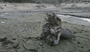 Krytyczna sytuacja. Katalonia ogłosiła stan nadzwyczajny