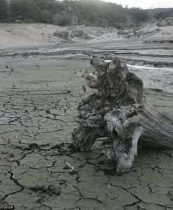 Krytyczna sytuacja. Katalonia ogłosiła stan nadzwyczajny