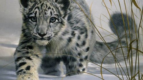 Windows 7 vs Snow Leopard - który system jest szybszy? 1