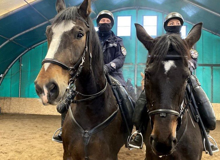 Śląsk. Częstochowska policja szuka chętnych do służby w policyjnym ogniwie konnym. 
