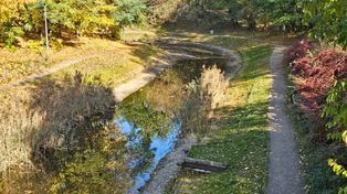 Warszawa: Wysycha fosa w ulubionym parku Bemowa