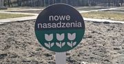 Poznań: Wiosna coraz bliżej. Miasto budzi się do życia szybciej niż w kalendarzu