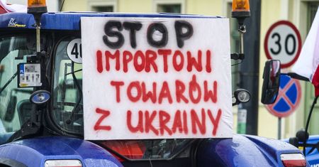 Czy olej na rzepaku z Ukrainy jest bezpieczny? Pytamy Inspekcję