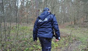 Horror w lesie. Znaleziono ciało kobiety