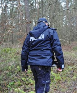 Horror w lesie. Znaleziono ciało kobiety