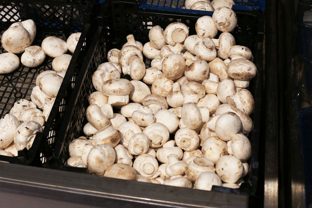Jak obchodzić się z pieczarkami?
