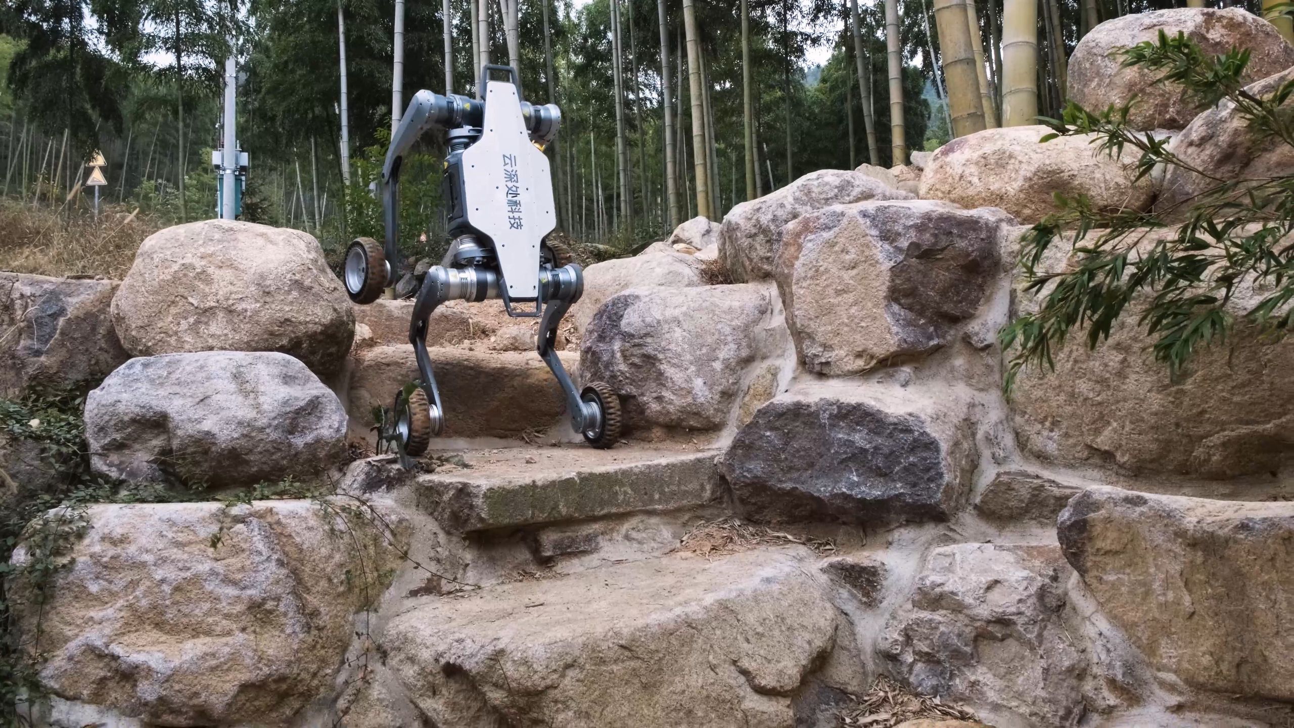 Nowe psy-roboty Q-UVG od Deep Robotics. Uzbrojone w broń i AI