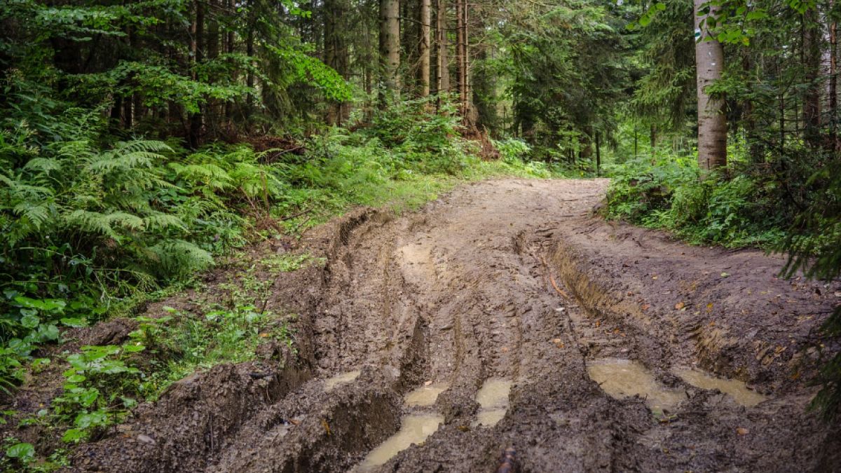 Mężczyzna myślał, że umówił się na romantyczną randkę. Przeżył koszmar