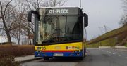 Kursowanie autobusów w okresie Wszystkich Świętych 2024