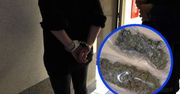 Ścinawa: Zamiast kota w transporterze wiozła worki marihuany. Policjanci poczuli jej zapach, gdy tylko podeszli do auta