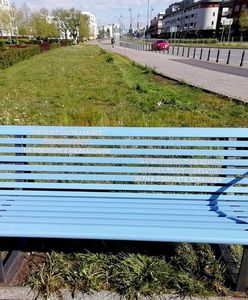 Warszawa. W Wilanowie „warszawska ławka” zachęca do rozmów