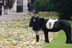 Widok rozdzierający serce. Emma czekała na swoją królową