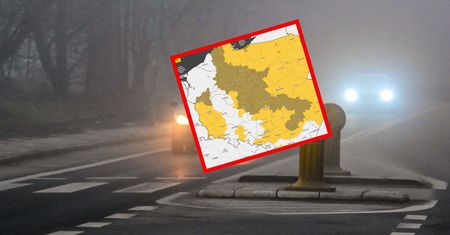 Mgły spowiły Polskę. Alerty IMGW dla większości województw
