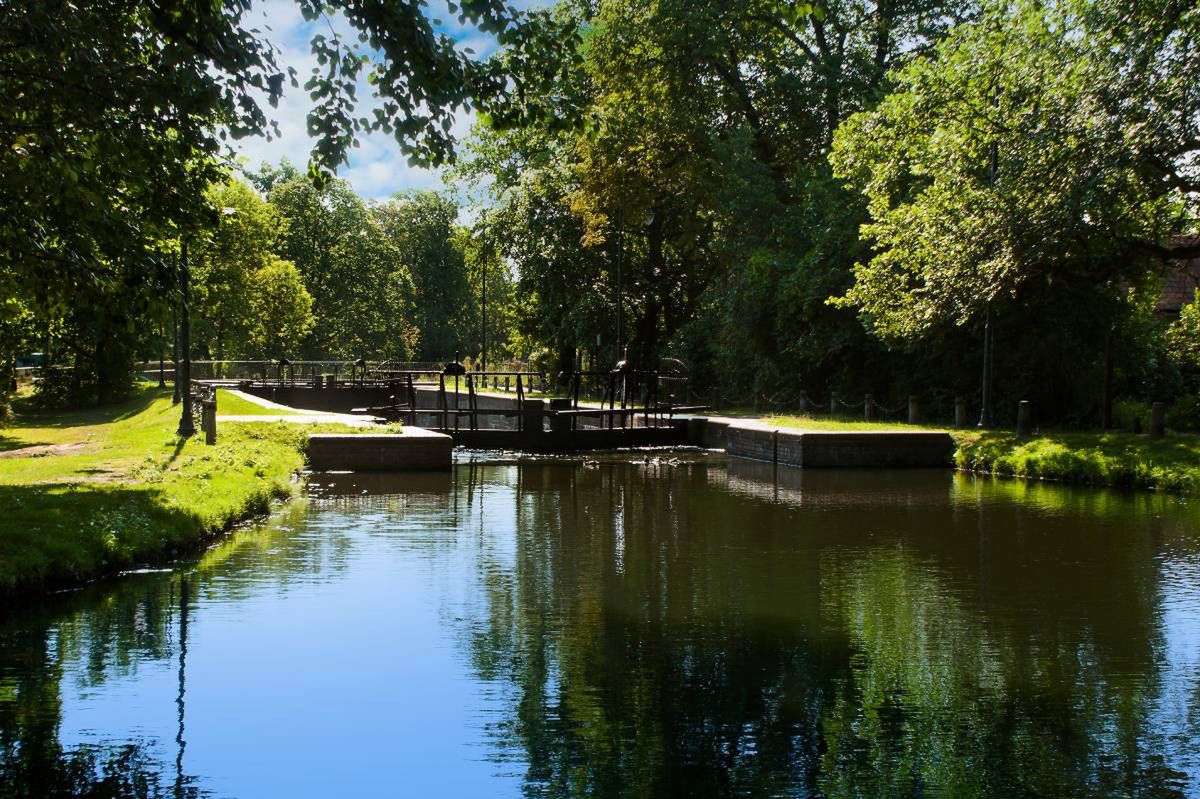 Bydgoszcz: Zielona ciecz w Starym Kanale. To KPEC sprawdzał szczelność rur spożywczym barwnikiem