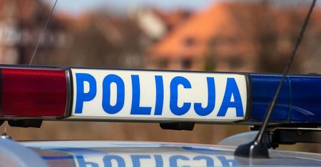 Płońsk. Łopatą zabił szczeniaki i je zakopał. "Skomlenie ucichło"