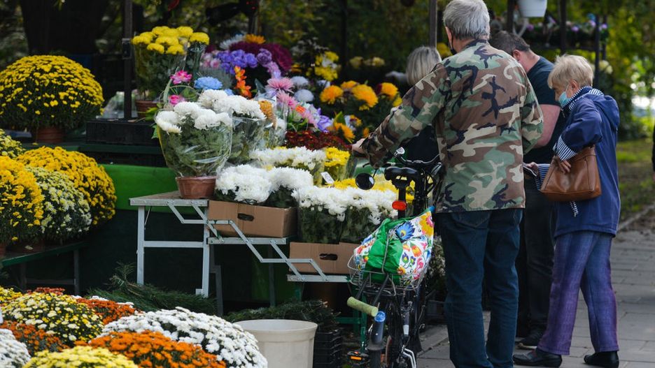 Chryzantemy to najczęściej pojawiające się kwiaty na straganach