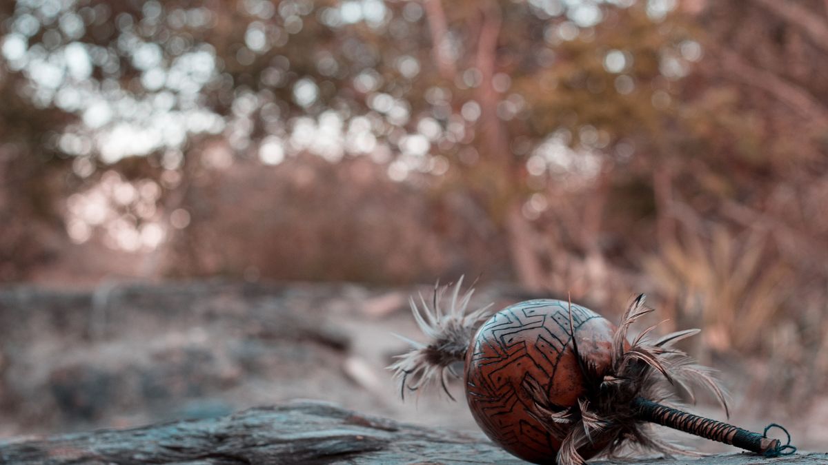 Ajałaska to tradycyjny napój Indian Keczua, który wywołuje działanie halucynogenne. 
