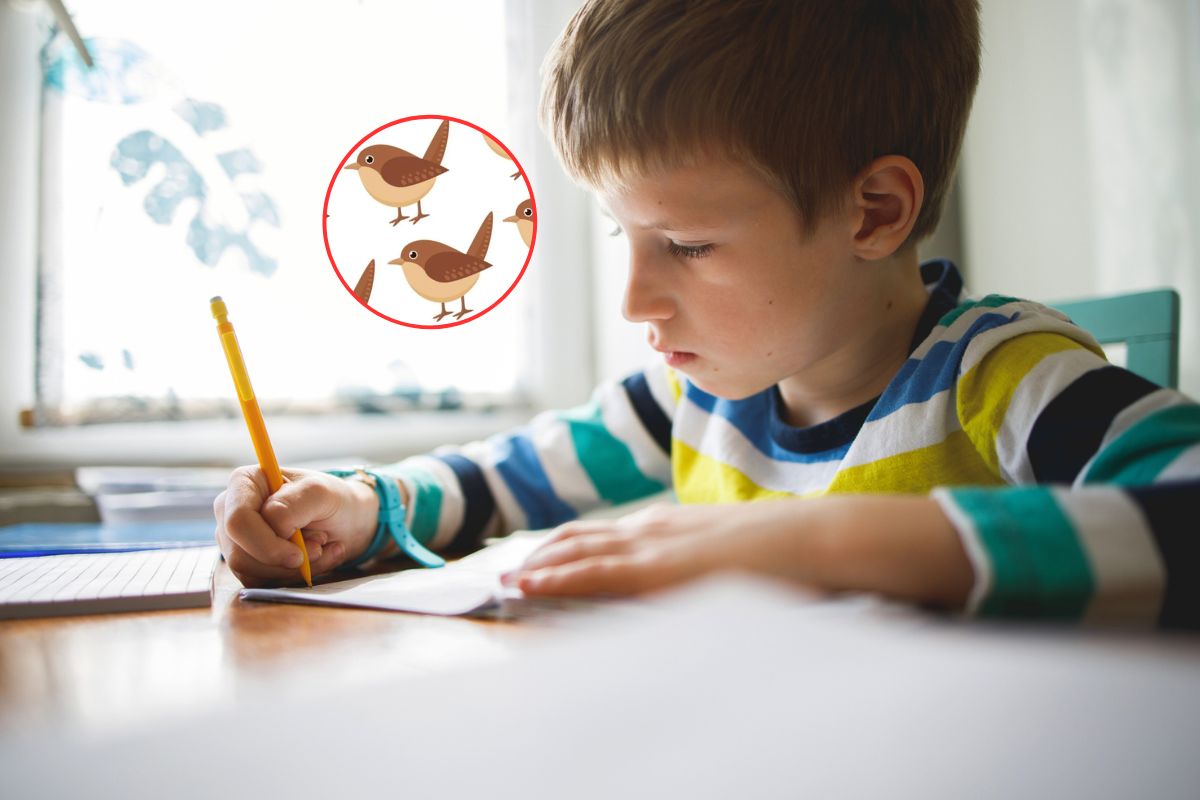 Zagadka na spostrzegawczość