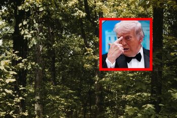 Trump chce znieść jedno prawo. Eksperci jasno się sprzeciwiają