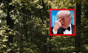 Trump chce znieść jedno prawo. Eksperci jasno się sprzeciwiają