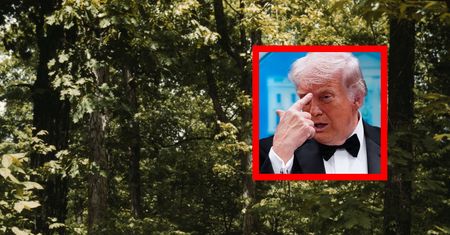 Trump chce znieść jedno prawo. Eksperci jasno się sprzeciwiają