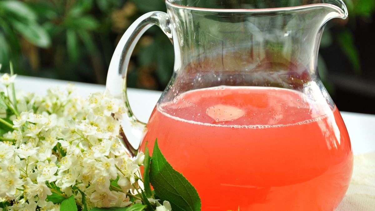 Rzewień, czyli rabarbar, to jeden z klasyków na wiosenny kompot