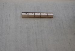 Piekary Śląskie. Naturalny sposób na komary? Więcej jerzyków