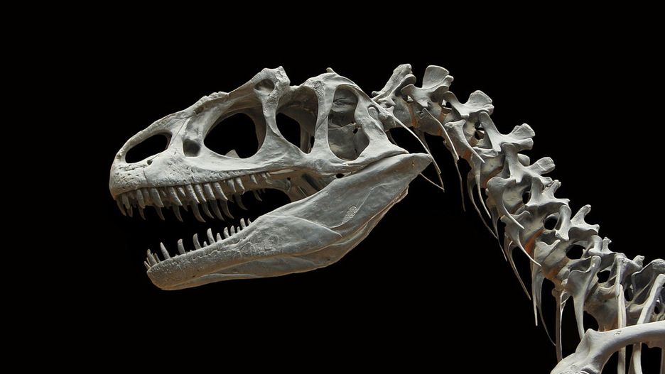Dlaczego wyginęły dinozaury?