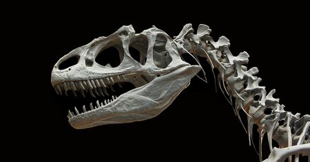 Dlaczego wyginęły dinozaury? Pojawiły się nowe dowody