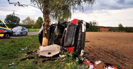Ucieczkę przed policją zakończył na drzewie. W schowku miał narkotyki
