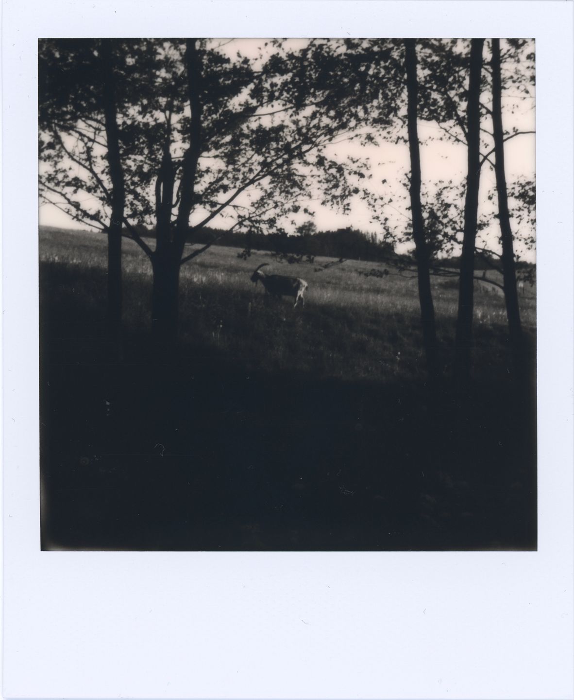 Impossible I-1 – czy współczesny Polaroid jest chociaż zbliżony do oryginałów? [test] 18