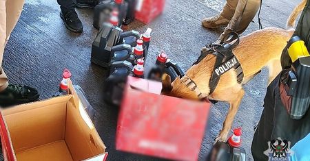 30 litrów płynnej amfetaminy w kanistrach po oleju – 26-latek wpadł na granicy z Niemcami