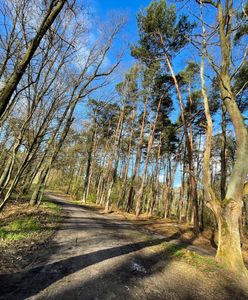 Pogoda zaskakuje. Rekordowy luty