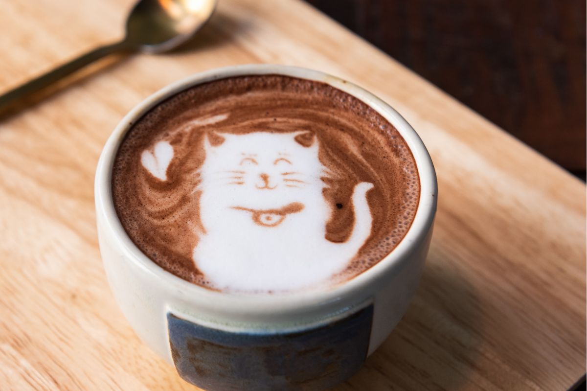 Dodaj łyżeczkę do porannej kawy. Koncentracja wskoczy na wyższe obroty i wyregulujesz cukier