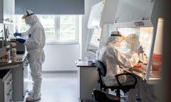 Koronawirus w Polsce. Nowe ognisko na koloniach na Warmii i Mazurach. Jest jedna ofiara