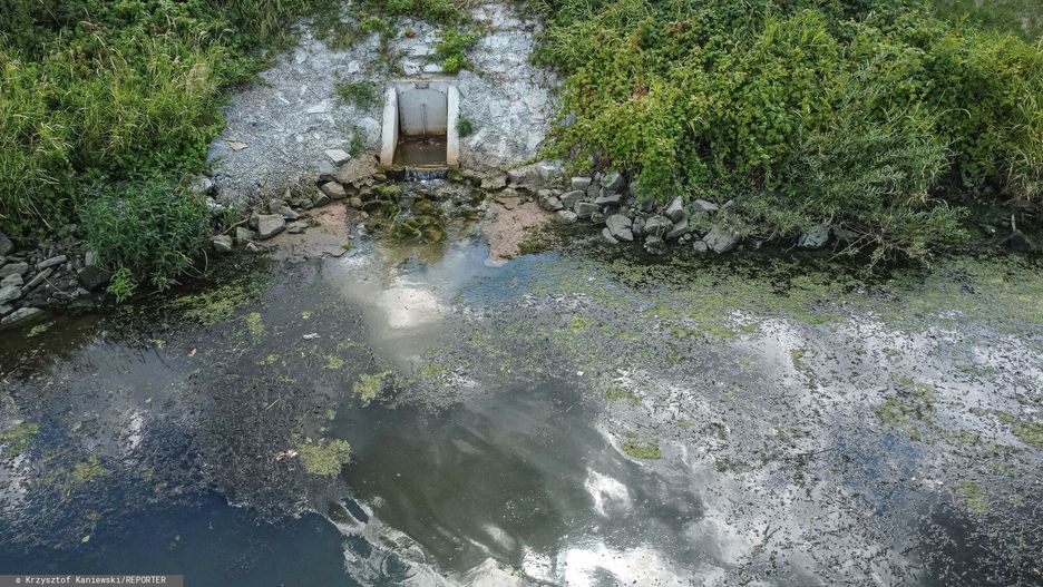 ?ni?te ryby w Odrze
12.08.2022 Olawa n/z Odra fot. Krzysztof Kaniewski/REPORTER
Krzysztof Kaniewski/REPORTER